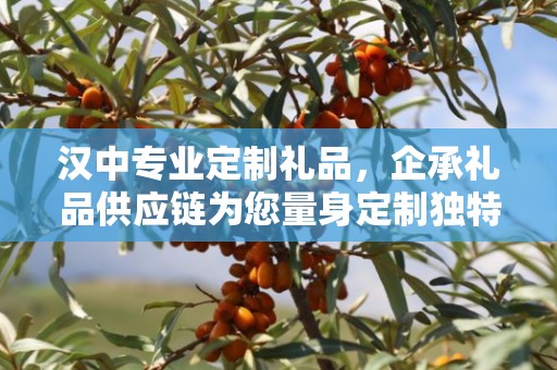 汉中专业定制礼品，企承礼品供应链为您量身定制独特礼品