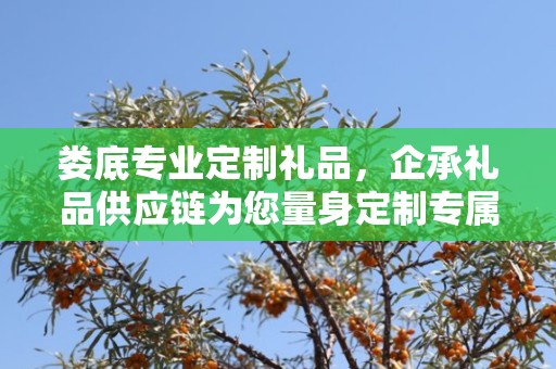 娄底专业定制礼品，企承礼品供应链为您量身定制专属礼品